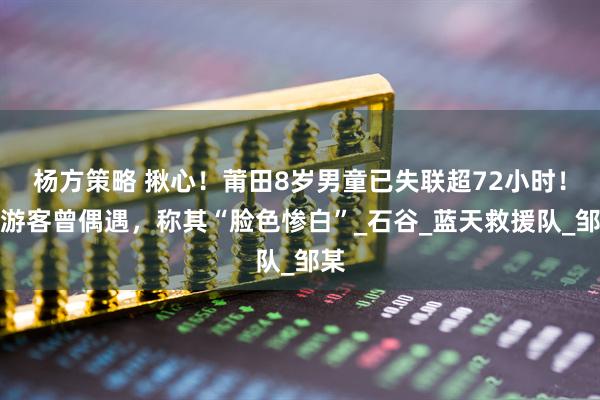 杨方策略 揪心！莆田8岁男童已失联超72小时！有游客曾偶遇，称其“脸色惨白”_石谷_蓝天救援队_邹某
