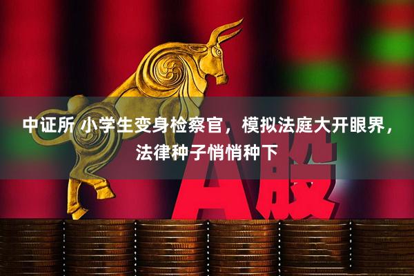 中证所 小学生变身检察官，模拟法庭大开眼界，法律种子悄悄种下