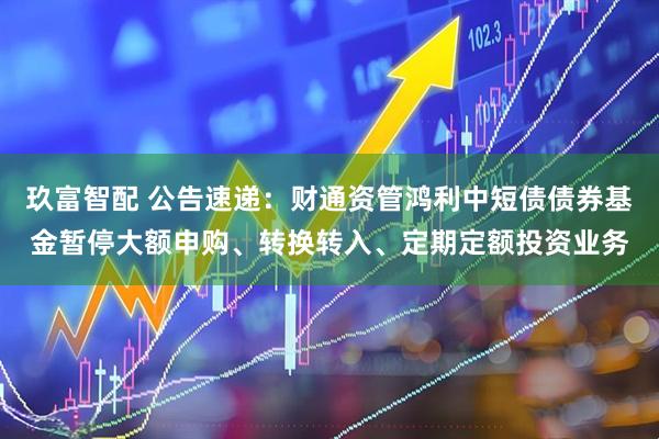 玖富智配 公告速递：财通资管鸿利中短债债券基金暂停大额申购、转换转入、定期定额投资业务