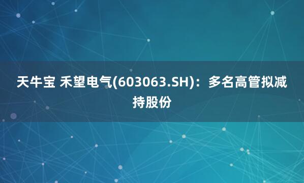 天牛宝 禾望电气(603063.SH)：多名高管拟减持股份