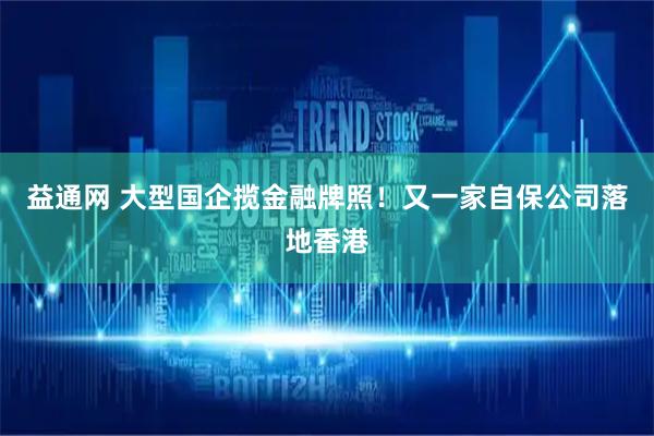 益通网 大型国企揽金融牌照！又一家自保公司落地香港